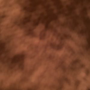 Meet your Posher, Jessely